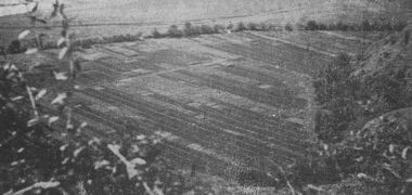 Kilátás a Kopta-földekre (1971) - Forrás: Mikó–Kicsi–Horváth: Balázs Ferenc. Bukarest, 1983.